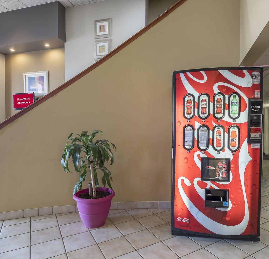 Red Roof Inn & Suites Cleveland - Elyria Bagian luar foto